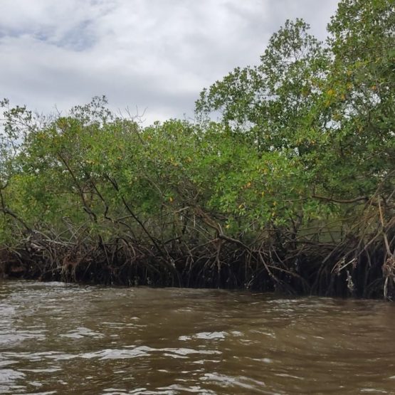 426d7e12-7c47-41a9-b2ea-3c8488c08d09