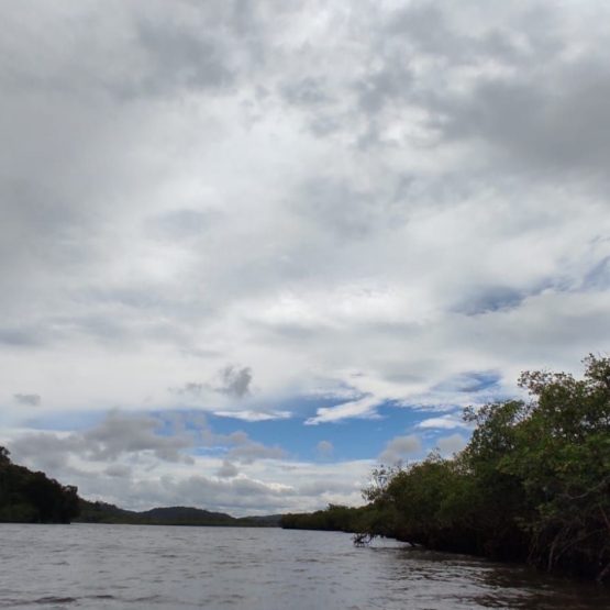 60a0a007-3432-48a7-8b69-fd957f6ee5cd