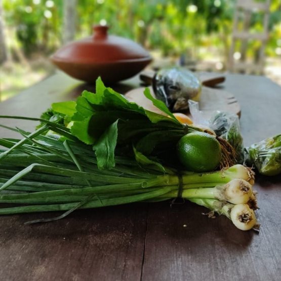 8421327f-b1d5-4658-9625-6e062d9698cd